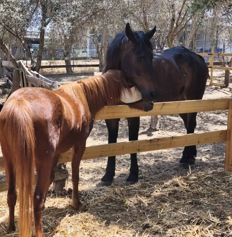 fa4a2047-6057-4d5d-8602-b9483f7e9e2e